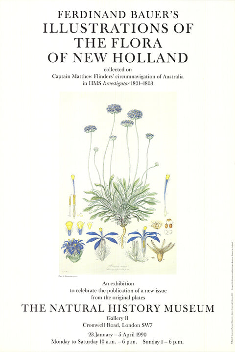FERDINAND BAUER Illustrations of the Flora of New Holland, 1990