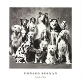 HOWARD BERNMAN Family of Dog, 1989