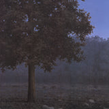 RENE MAGRITTE Le Seize Septembre, 1998