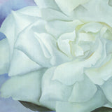 GEORGIA O'KEEFFE White Rose with Larkspur No.2, 2002