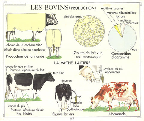 EMILE DEYROLLE Le Bovins (Production), 1960