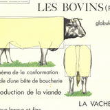 EMILE DEYROLLE Le Bovins (Production), 1960