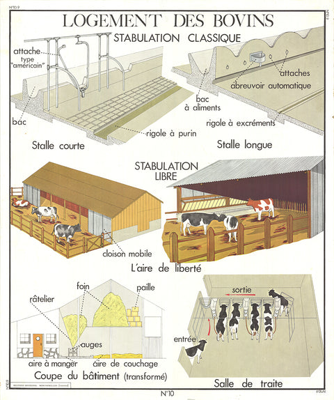 EMILE DEYROLLE Logement Des Bovins, 1960