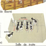EMILE DEYROLLE Logement Des Bovins, 1960