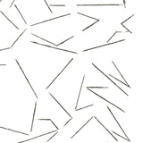 PABLO PALAZUELO Fractured Lines, 1970