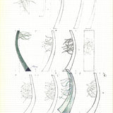 ALAIN LE YAOUANC Study VI, 1970