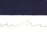 ROSS BLECKNER Gay Flag, 1993 - Signed