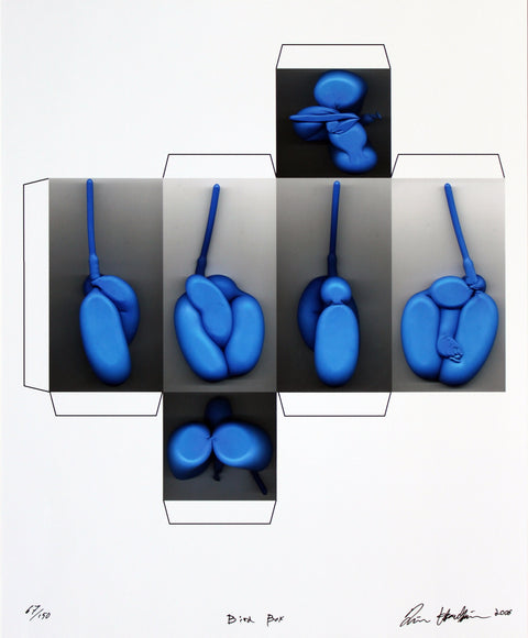 TIM HAWKINSON Bird Box, 2006 - Signed