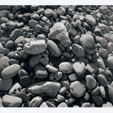 JAMES WELLING Ellwood Beach 25, 2011 - Signed